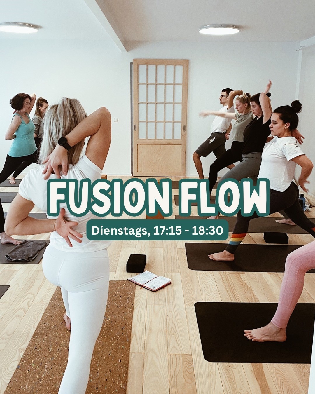 Fusion Flow Power Vinyasa Yoga und Yoga Philosophie in Leipzig, fortgeschrittenes Yoga